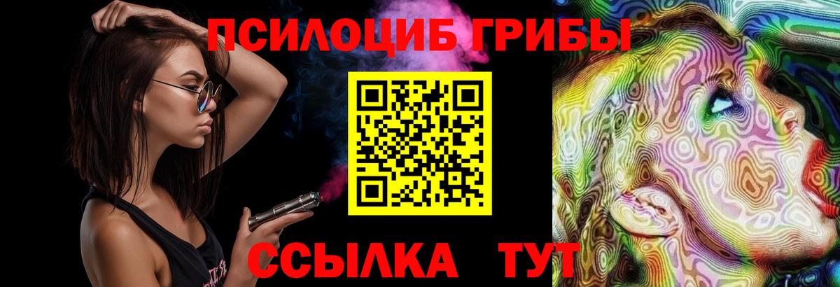 Галлюциногенные грибы Psilocybe  Вход с VPN  купить наркотик  Пушкино 