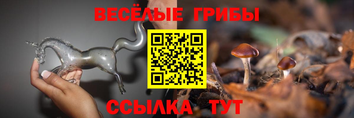 Галлюциногенные грибы мицелий Пушкино